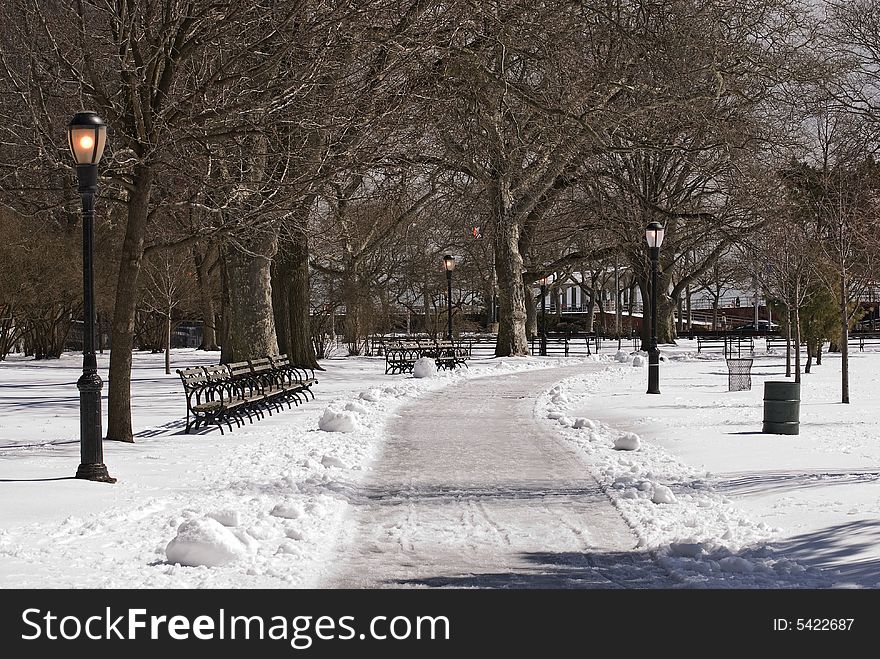 Small park in the winter