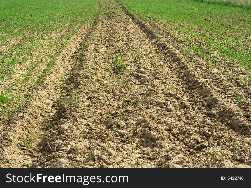 Ploughed Field