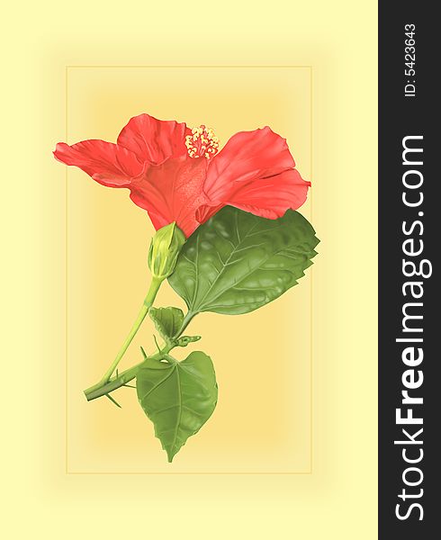 Flower of a rose on a yellow background in a small framework. The illustration is executed in program Photo Shop CS2.