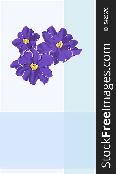 Card with flowers violets, with blue vertical and horizontal strips. Work is executed in program Photo Shop CS 2