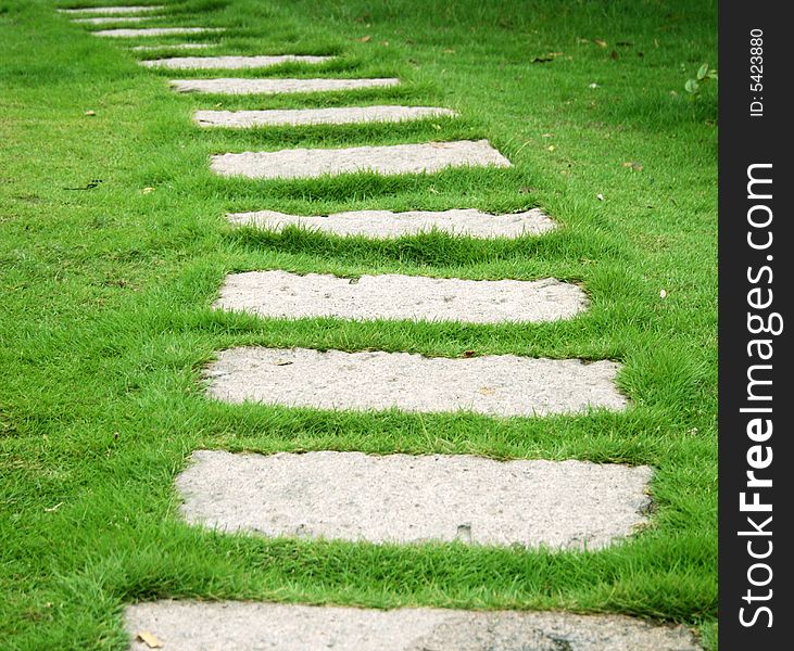 A stones path through the grass field.