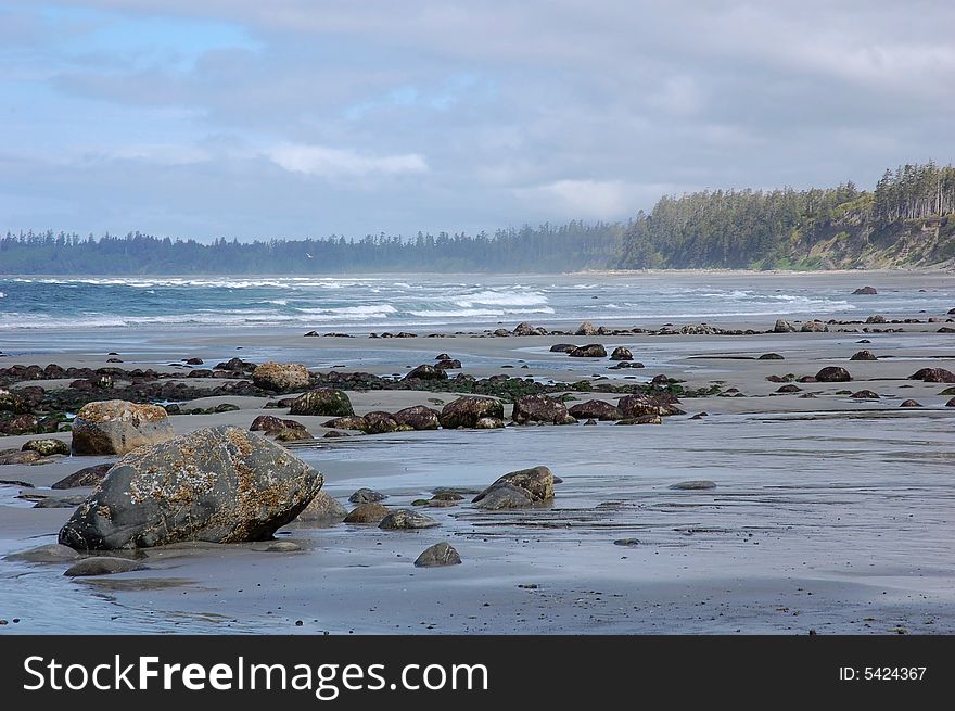 Beach View In Florencia Bay