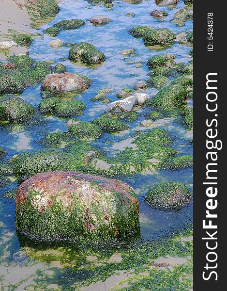 Rocks in florencia bay, vancouver island, british columbia, canada