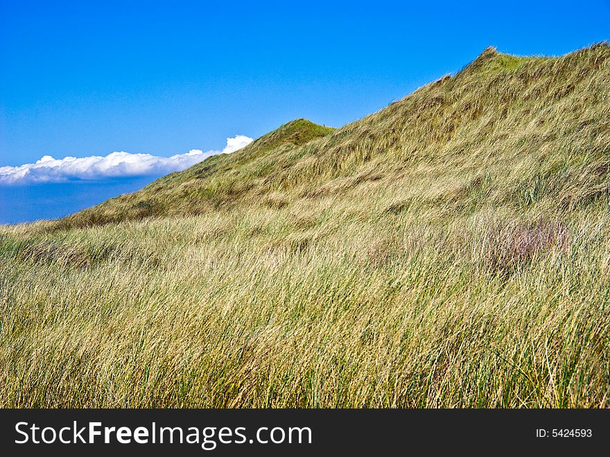 Grass on the dunes. Clouds in the background. Grass on the dunes. Clouds in the background.