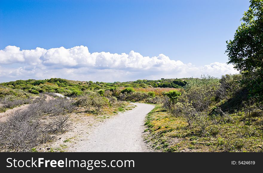 Footpath in dunes. Bushes in the background.