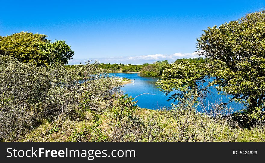 Beautiful lake.  Forest along  the bank.