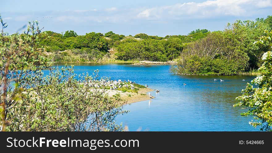 Beautiful lake.  Forest along  the bank.