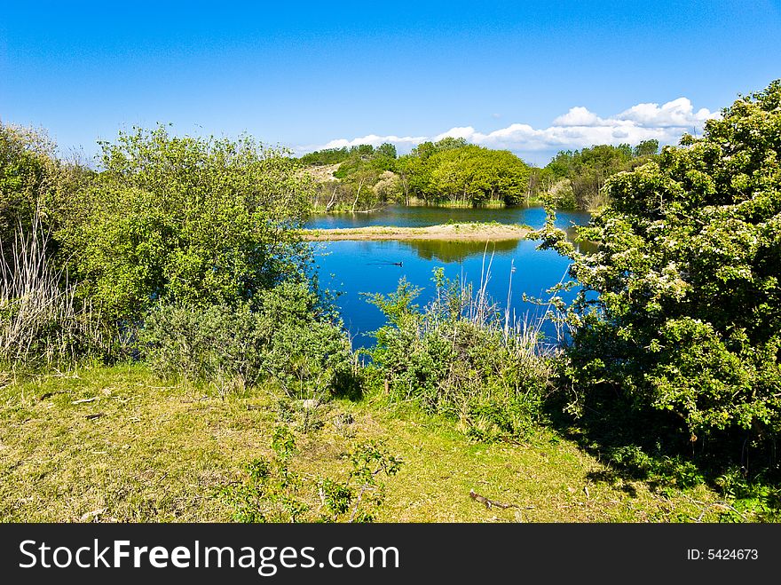 Beautiful lake.  Forest along  the bank.