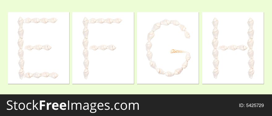 Seashell letters on white background, letter E,F,G,H. Seashell letters on white background, letter E,F,G,H