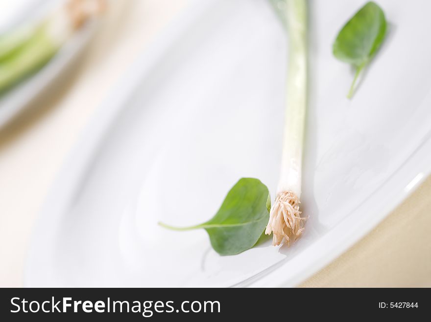 High key green onion on a plate with shallow focus