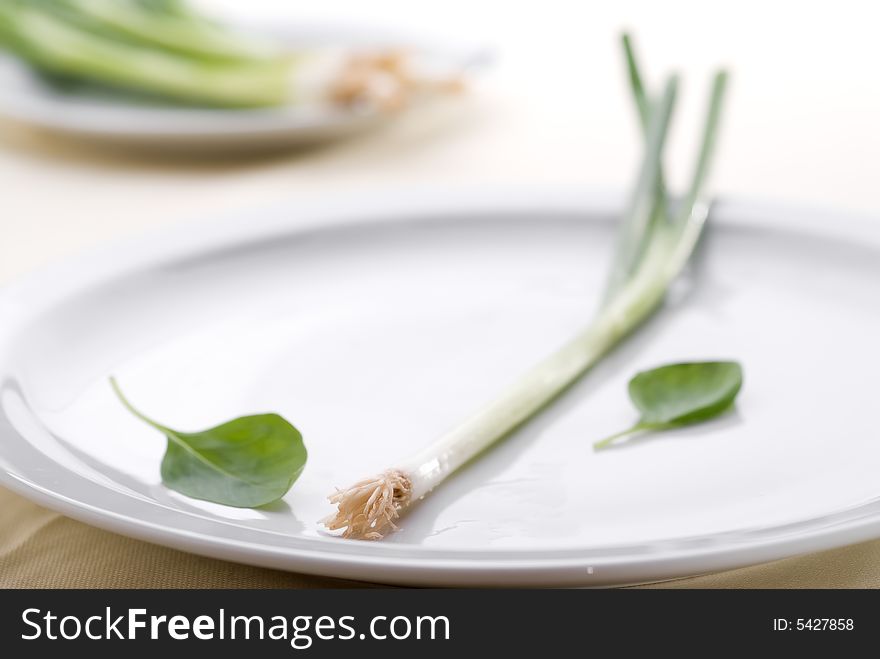 High key green onion on a plate with shallow focus