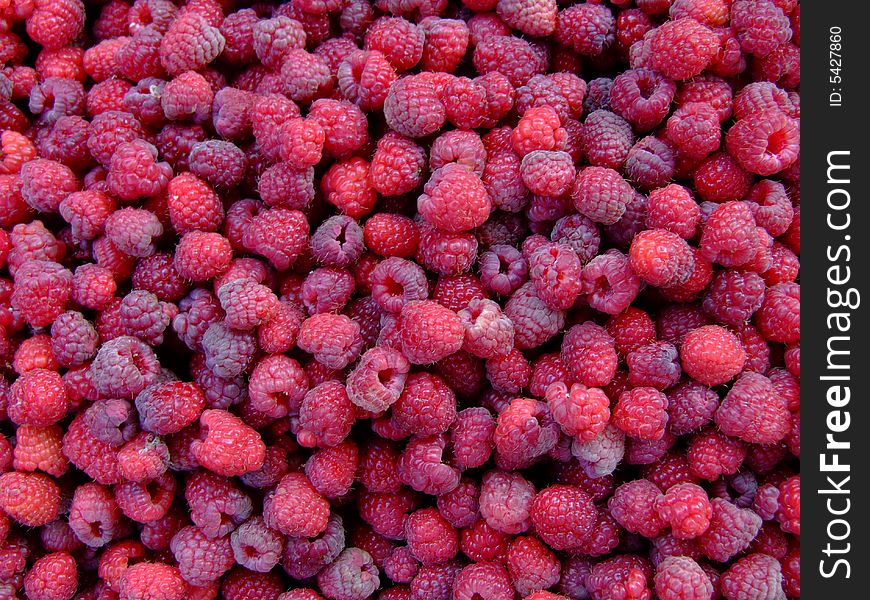 The scattered ripe raspberry, harvest