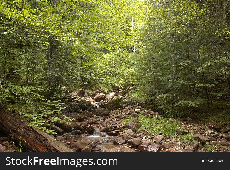 Spectacular Valley of the Pyrenees. Spectacular Valley of the Pyrenees.