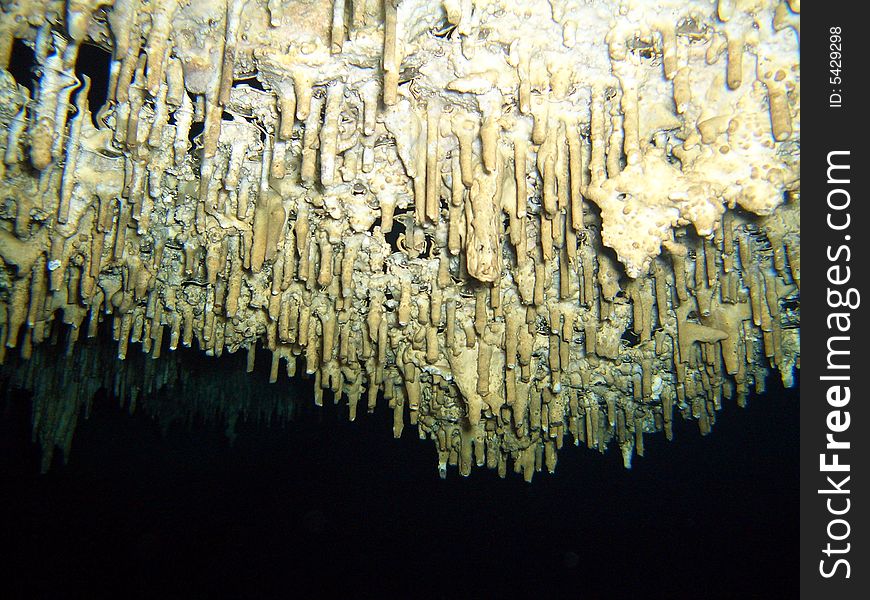 A freshwater cave in Yucatan, Mexico. A freshwater cave in Yucatan, Mexico