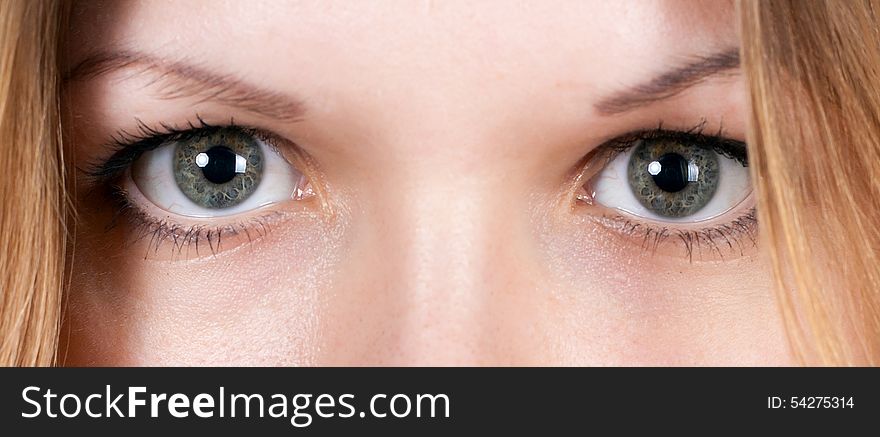 Grey beautiful girl's eyes closeup. Grey beautiful girl's eyes closeup