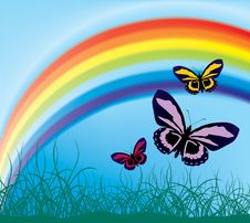 Flying Butterflies Stock Image Flying Butterflies Stock Image