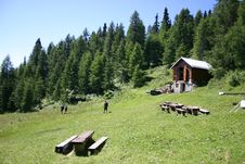 Alpine Meadow Stock Image Alpine Meadow Stock Image