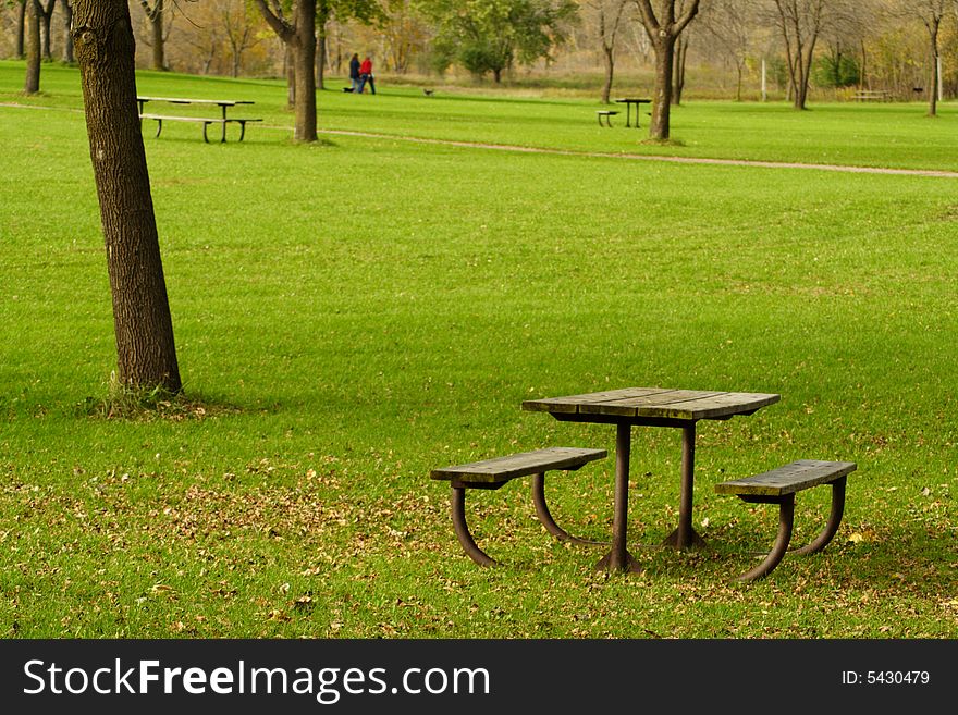 Park table and benches with a tree shading the area. Park table and benches with a tree shading the area