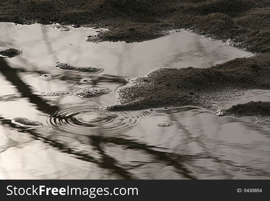 A water droplet falls into a pool on a rainy and overcast morning. A water droplet falls into a pool on a rainy and overcast morning.