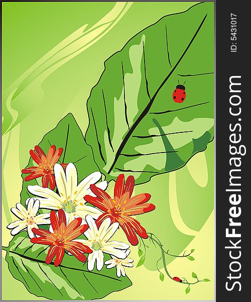 Chamomiles and foliage and ladybird. Vector illustration