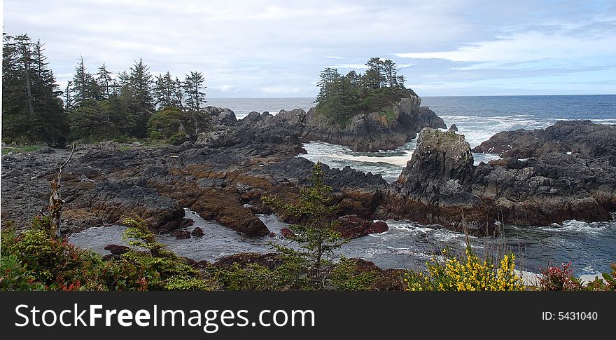 Seashore in Pacific Rim national park, vancouver island, british columbia, canada