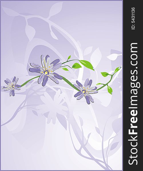 Chamomiles. Floral background. Vector illustration