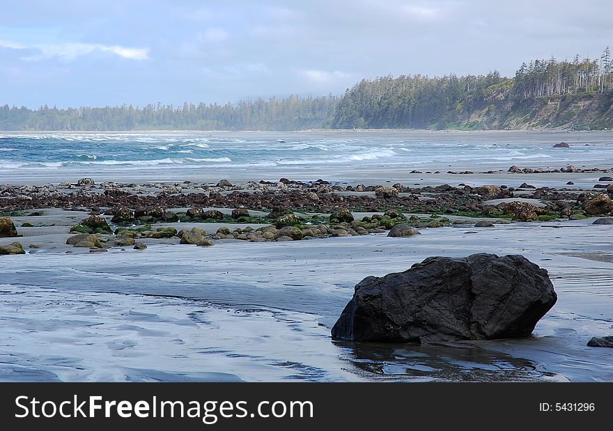 Scenic misty beach view in florencia bay, vancouver island, british columbia, canada