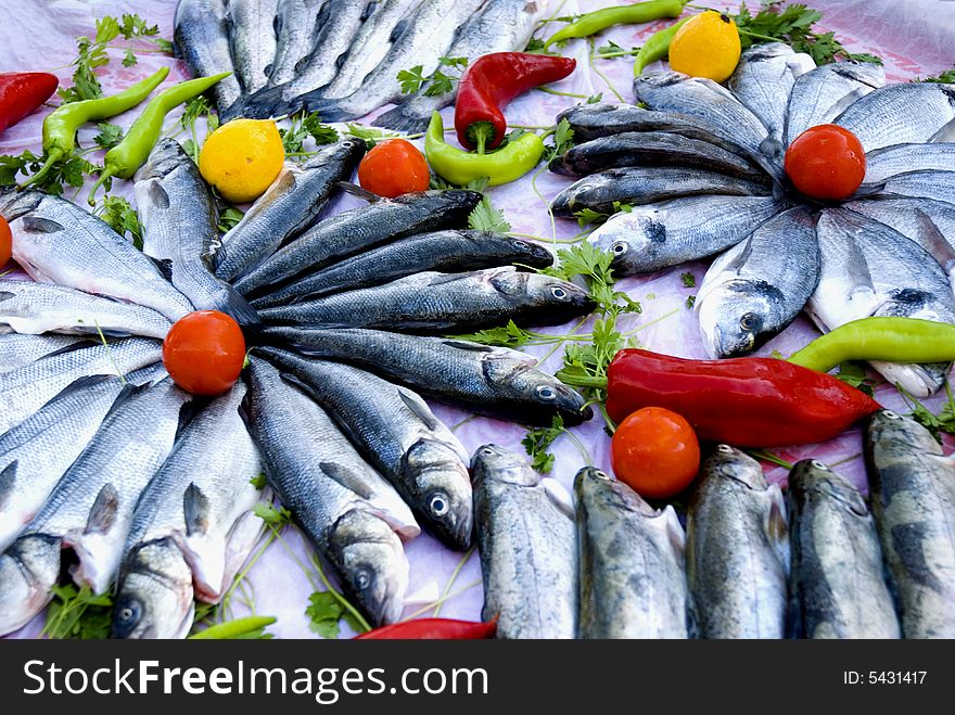 Fresh sea bass fish with tomatos close up. Fresh sea bass fish with tomatos close up