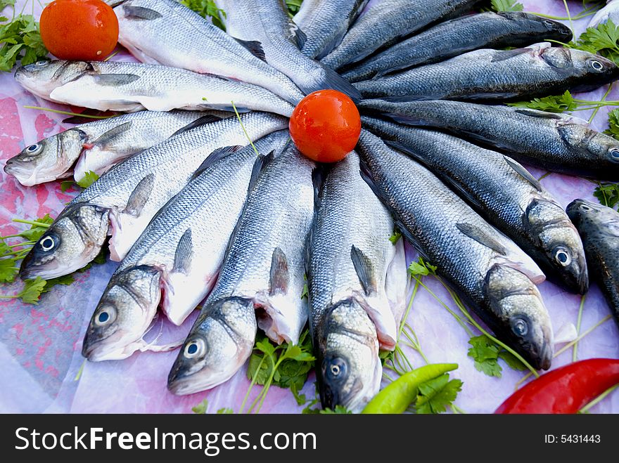 Fresh sea bass fish with tomatos close up. Fresh sea bass fish with tomatos close up