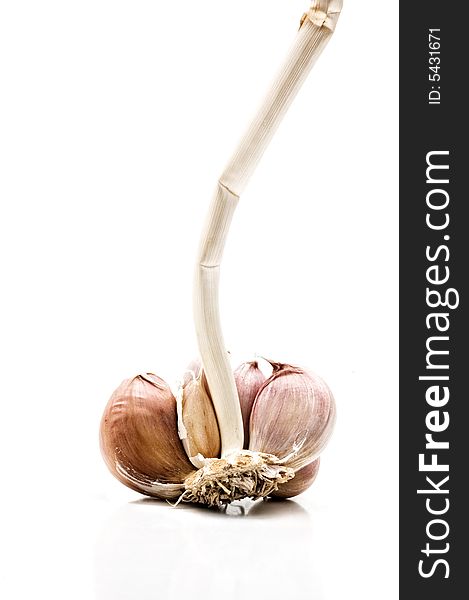 Garlic On White Background