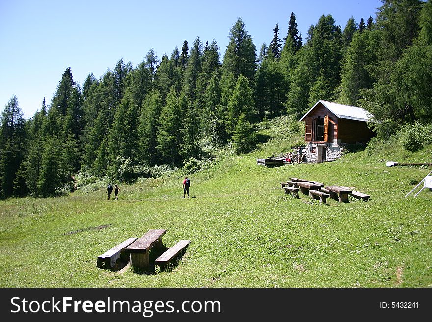 Alpine meadow in Slovenia on mountain Peca