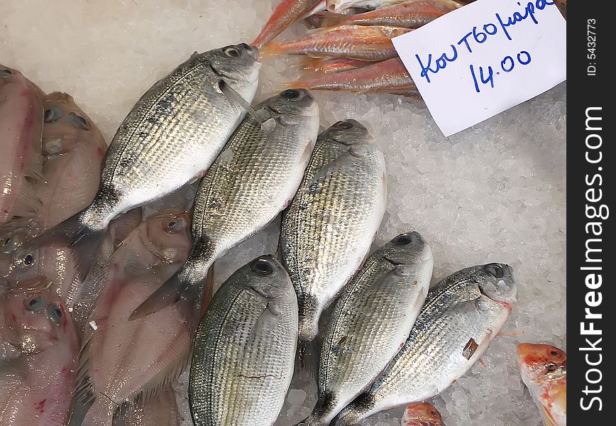 Fish for sale at fish market with greek price tab.