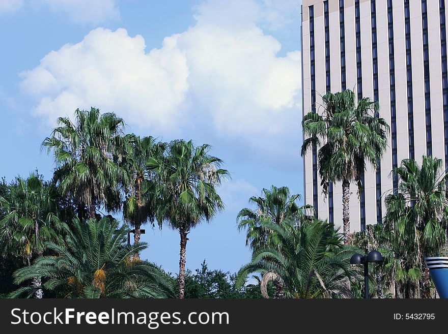 Palmtrees against a blue sky and hotel in background. Palmtrees against a blue sky and hotel in background