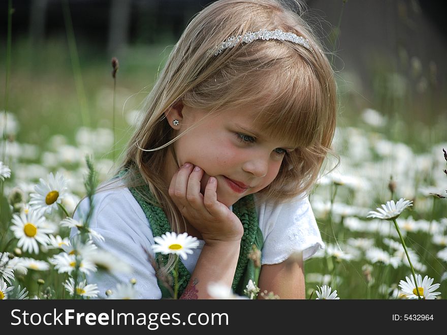 Little girl in the middle of a field of wild daisies. Little girl in the middle of a field of wild daisies.