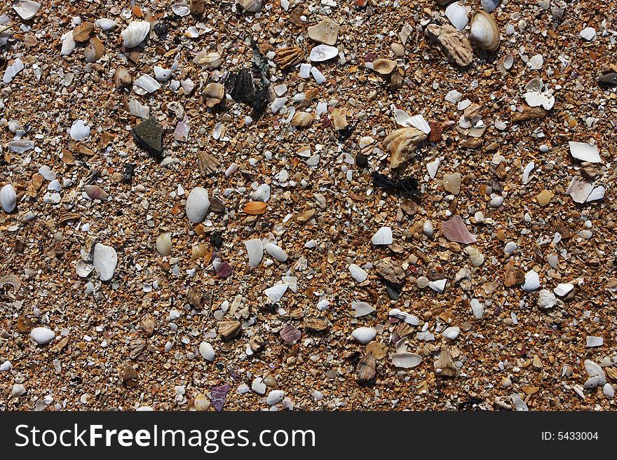 Shell sand on the beach with water lines, great detail and texture. Shell sand on the beach with water lines, great detail and texture