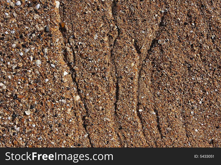 Shell sand on the beach with water lines, great detail and texture