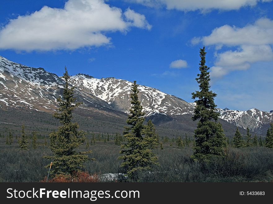 Snow covered hills inside Denali National Park in May.