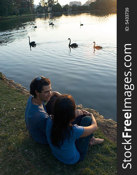 A couple sits by a pond during the golden hour watching the swans. Vertically framed shot. A couple sits by a pond during the golden hour watching the swans. Vertically framed shot.