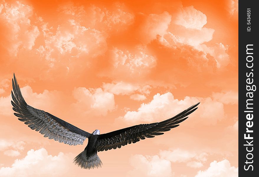 An eagle flight against a sky with white clouds. An eagle flight against a sky with white clouds