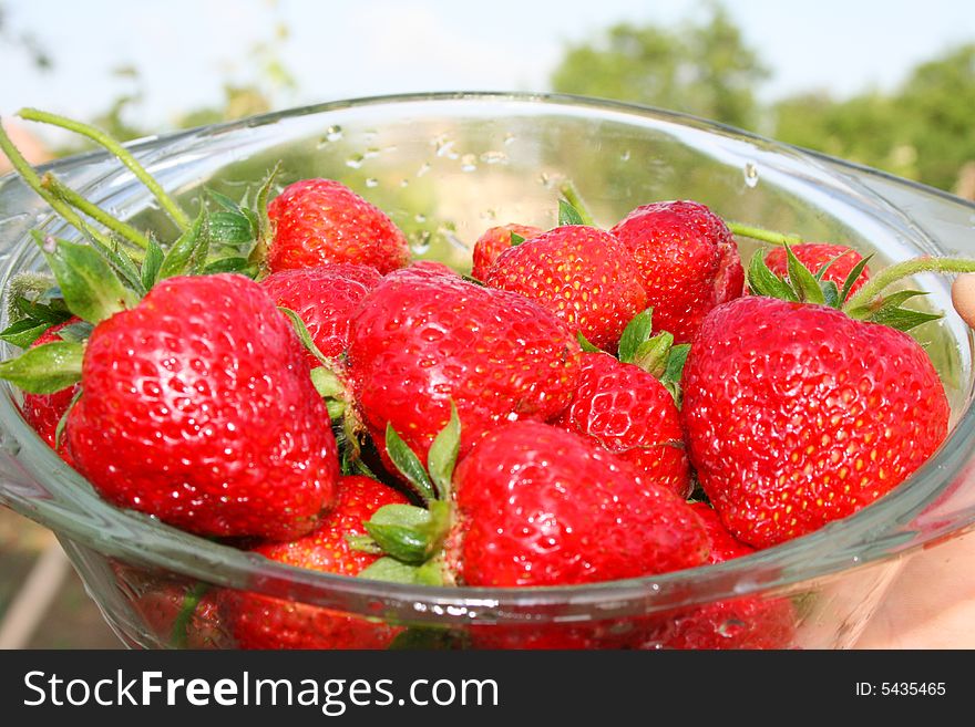 Fresh strawberry to glasswares on a green background