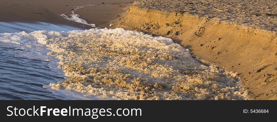 A lot of foam on the sandy beach after a heavy storm