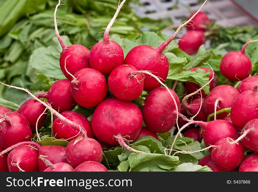 Food series: freshly grown red radish on market