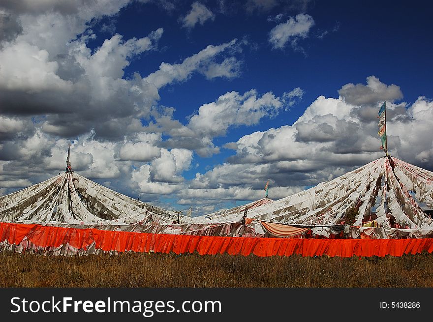 Tibet flags on the field