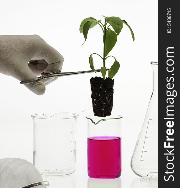 Biotechnology Concept