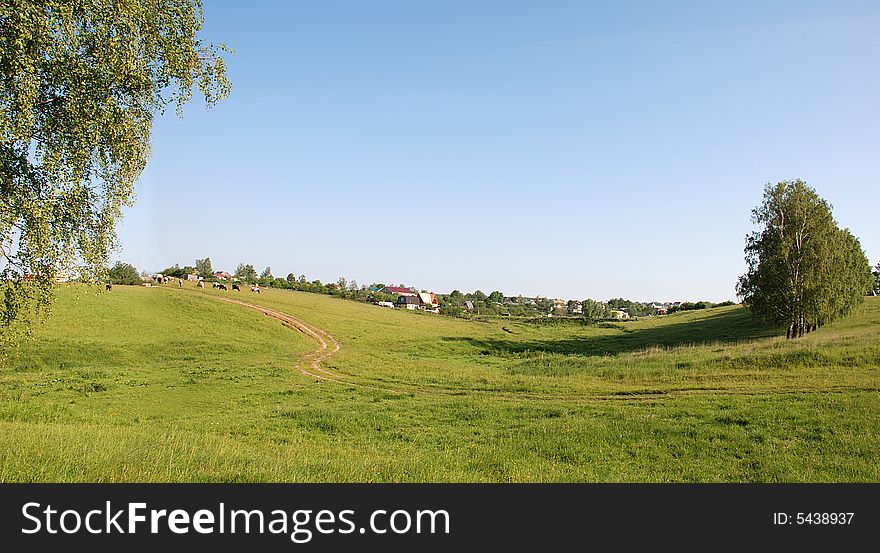 Summer panorama. Sunny warm morning in a Village, Russia, Sartakovo. Summer panorama. Sunny warm morning in a Village, Russia, Sartakovo.