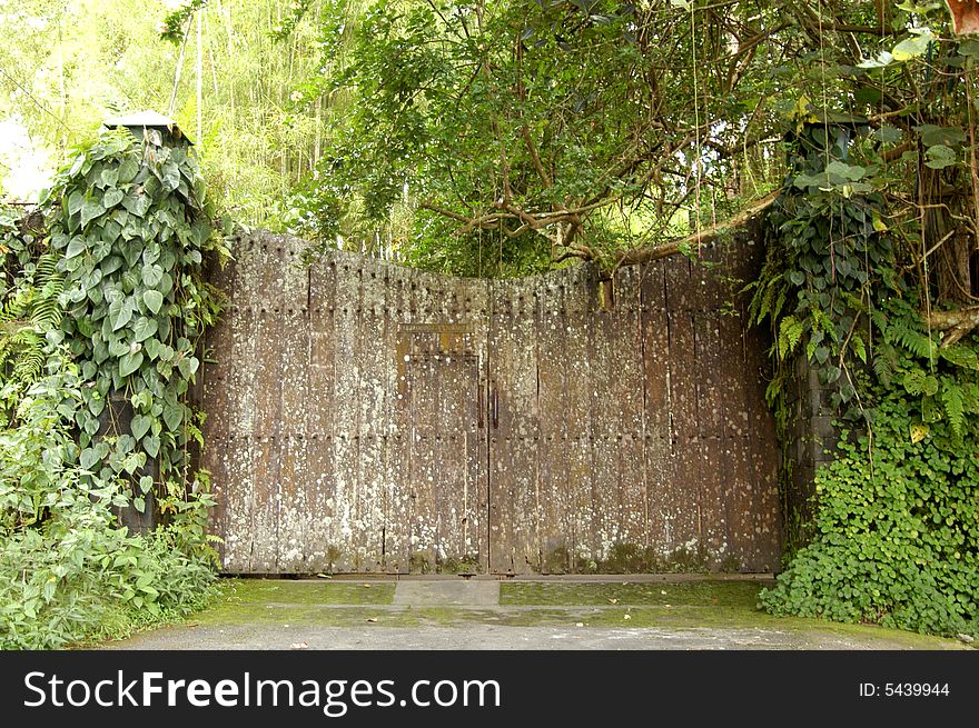 Old brown wooden gate in stone wall. Old brown wooden gate in stone wall.