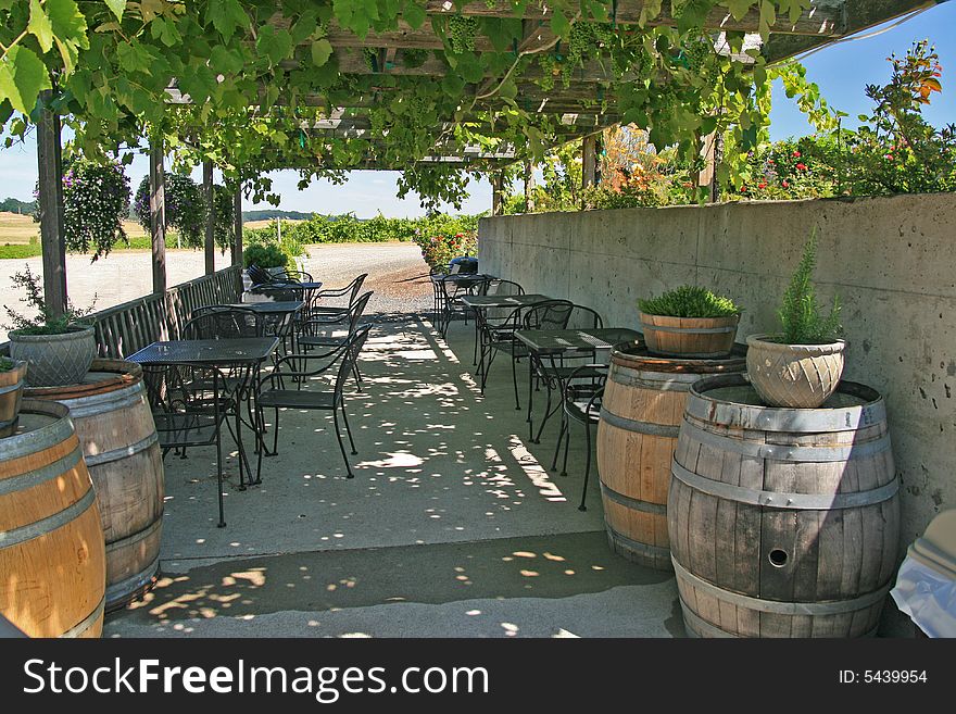 Vineyard Patio