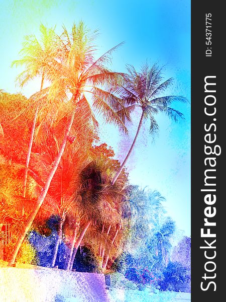 Beautiful watercolor colorful retro coconut palms grove. Beautiful watercolor colorful retro coconut palms grove