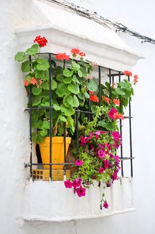 Red Flowers In Window Royalty Free Stock Photo Red Flowers In Window Royalty Free Stock Photo
