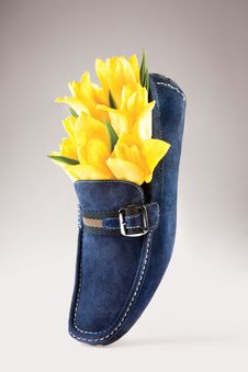 Blue Leather Shoe Royalty Free Stock Photos Blue Leather Shoe Royalty Free Stock Photos